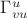 $\Gamma^u_{vu}$