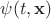 $\psi(t, {\mathbf x})$