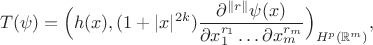 $$T(\psi)=\Big(h(x),(1+|x|^{2k})\frac{\partial ^{\|r\|}\psi(x)}{\partial x_1^{r_1}\ldots \partial x_m^{r_m}}\Big)_{H^p(\mathbb{R}^m)},$$