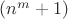 $(n^m+1)$