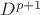 $D^{p+1}$