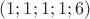 $(1;1;1;1;6)$