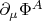 $\partial_{\mu} \Phi^{A}$