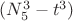 $(N_5^3-t^3)$