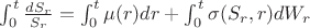 $\int_{0}^{t}\frac{dS_r}{S_r}=\int_{0}^{t}\mu(r) dr +\int_{0}^{t}\sigma(S_r, r)dW_r$