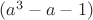 $(a^3-a-1)$