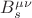 $B^{\mu\nu}_s$