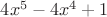 $4x^5 - 4x^4 + 1$