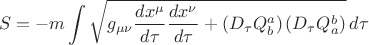 $$
S = - m \int \sqrt{ g_{\mu \nu} \frac{d x^{\mu}}{d \tau}  \frac{d x^{\nu}}{d \tau} 
+ \left( D_{\tau} Q^{a}_{b} \right) \left( D_{\tau} Q^{b}_{a} \right)
} \, d \tau
$$