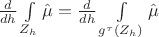 $\frac{{d}}{{d} h} \int\limits_{Z_h} \hat \mu = \frac{{d}}{{d} h} \int\limits_{g^{\tau} (Z_h)} \hat \mu$