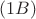 $(1B)$