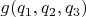 $g(q_1,q_2,q_3)$