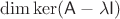 $\dim\ker(\mathsf A-\lambda\mathsf I)$