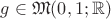 $g \in \mathfrak M(0,1;\mathbb R)$