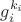 $g_i^{k_i}$