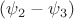 $(\psi_2-\psi_3)$