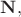 ${\mathbf{N}},$