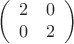 $$\left(\begin{array}{cc} 2 & 0  \\ 0 & 2 \end{array}\right)$$