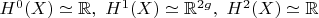 $H^0(X) \simeq \mathbb{R}, ~H^1(X) \simeq \mathbb{R}^{2g}, ~H^2(X) \simeq \mathbb{R}$