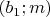 $(b_1;m)$