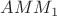 $AMM_1$