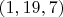 $(1,19,7)$