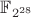 $\mathbb{F}_{2^{28}}$