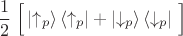 $$\frac 1 2 \left\Big[ \left|\uparrow_p\right\rangle\left\langle\uparrow_p\right| + \left|\downarrow_p\right\rangle\left\langle\downarrow_p\right| \right\Big]$$