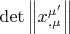 $\det \left\| {x_{,\mu }^{\mu '} } \right\|$