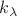 $k_{\lambda}$