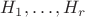 $H_1,\ldots,H_r$
