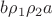 $b\rho_1\rho_2 a$