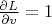$\frac{\partial L}{\partial v} = 1$