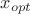 $x_{opt}$