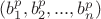 $(b_1^p,b_2^p,...,b_n^p)$