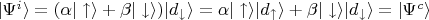 $
\vert \Psi^{i} \rangle = (\alpha \vert \uparrow \rangle + \beta \vert\downarrow\rangle)\vert d_{\downarrow}\rangle = \alpha \vert \uparrow \rangle\vert d_{\uparrow}\rangle + \beta \vert\downarrow\rangle\vert d_{\downarrow}\rangle = \vert \Psi^{c} \rangle$