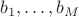 $b_1,\dots,b_M$