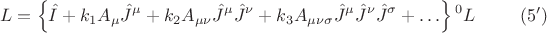 $$ L = \left \{ \hat{I} + k_1 A_{\mu} \hat{J}^{\mu} + k_2 A_{\mu \nu} \hat{J}^{\mu} \hat{J}^{\nu} + k_3 A_{\mu \nu \sigma} \hat{J}^{\mu} \hat{J}^{\nu} \hat{J}^{\sigma} + \ldots \right \} {{}^0 L} \eqno{(5')}$$