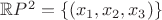 $\mathbb{R}P^2=\{(x_1,x_2,x_3)\}$