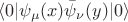 $$\langle 0|\psi_\mu(x)\bar{\psi}_\nu(y)|0\rangle$$ $$\langle 0|\psi_\mu(x)\bar{\psi}_\nu(y)|0\rangle$$