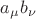 $a_{\mu}b_{\nu}$