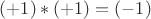 $(+1)*(+1)=(-1)$