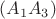 $(A_1A_3)$