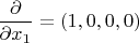 $\dfrac{\partial}{\partial{x_1}}=(1,0,0,0)$