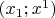 $(x_1;x^1)$