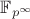 $\mathbb{F}_{p^\infty}$