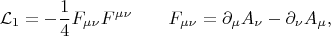 $$\mathcal{L}_1=-\frac{1}{4}F_{\mu\nu}F^{\mu\nu}\qquad F_{\mu\nu}=\partial_\mu A_\nu-\partial_\nu A_\mu,$$