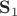 $\mathbf S_1$ $\mathbf S_1$