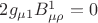 $2 g_{\mu 1}B^1_{\mu\rho}=0$