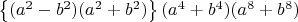 $\left\{ (a^2-b^2)(a^2+b^2) \right\} (a^4+b^4)(a^8+b^8)$
